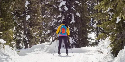 how to choose ski poles