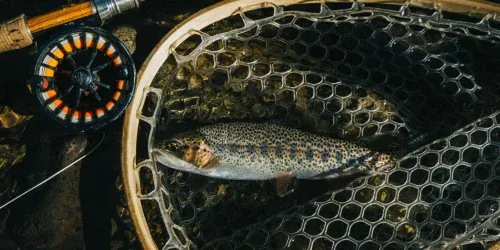 trout fly rods