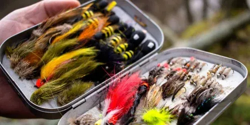 fly fishing streamers