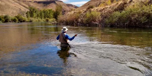 catching trout