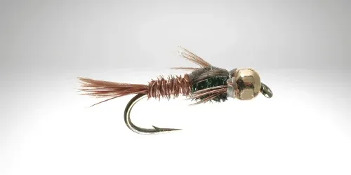 Pheasant Tail Nymph