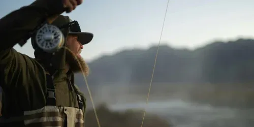 trout feeding