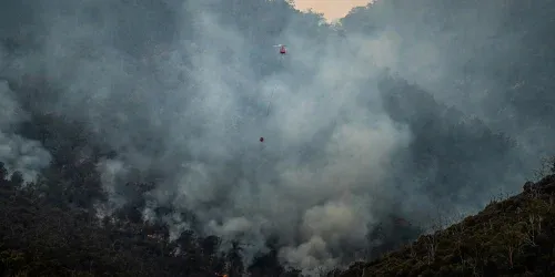 air purifier for wildfire