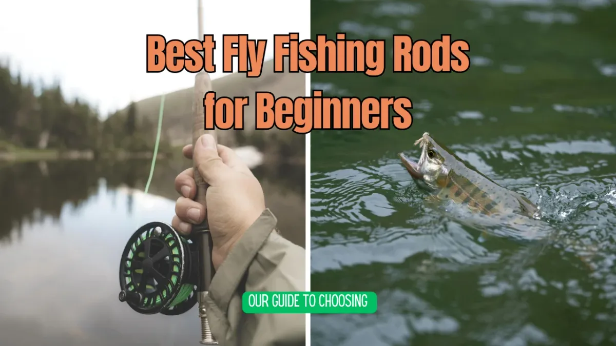 Best Fly Fishing Rods for Beginners