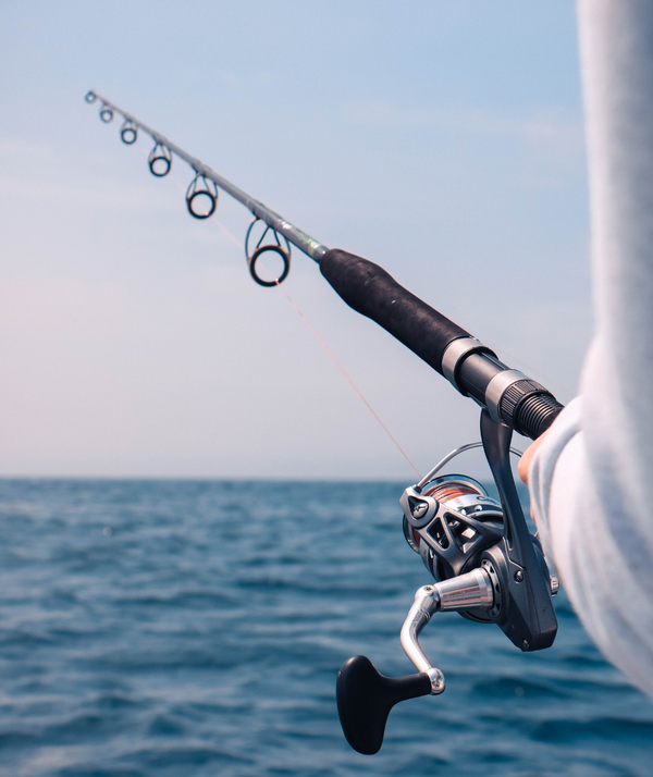 Fishing Rods 101: A Beginner’s Guide to Choosing the Right One