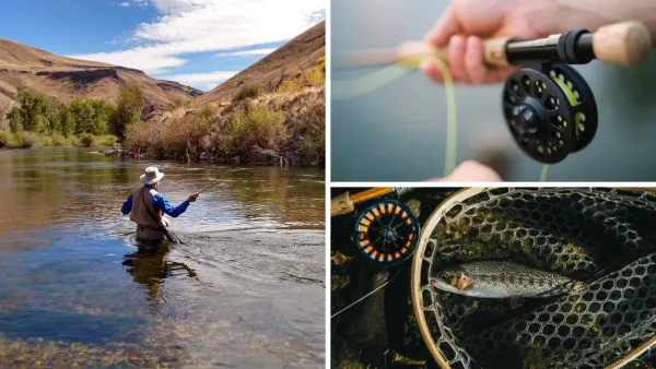 Spare Your Wallet With The Best Fly Fishing Rods Under $200