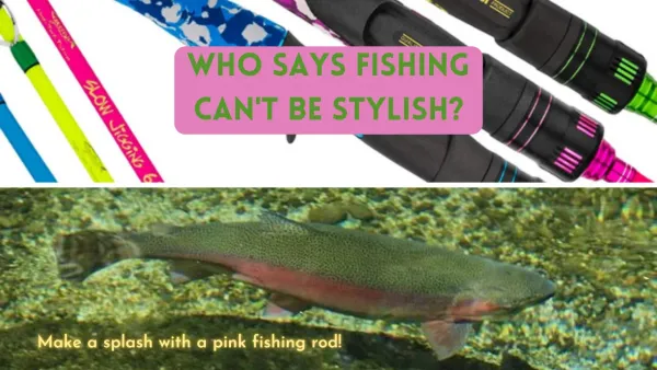 5 Pink Fishing Rods: Hook A Lunker With These Beauties!