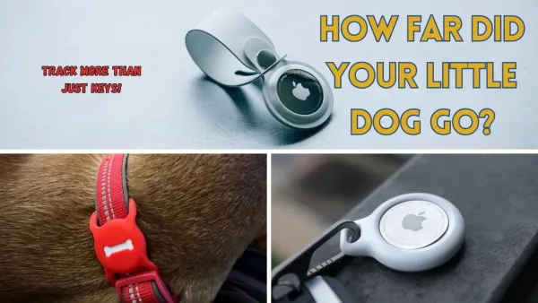 Apple AirTags: How Far Did Your Little Dog Go?