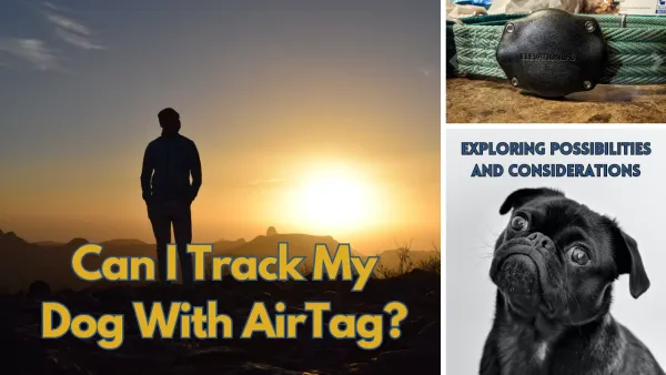 Can I Track My Dog with AirTag? Exploring Possibilities and Considerations