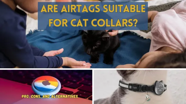 AirTags For Cat Collars: Pros, Cons, and Alternatives