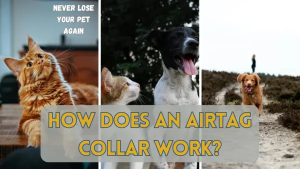 Airtag Collars: The Future of Pet Tracking