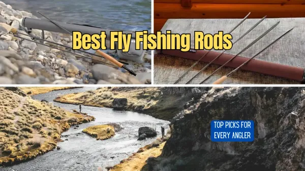 Best Fly Fishing Rods: Top Picks for Every Angler