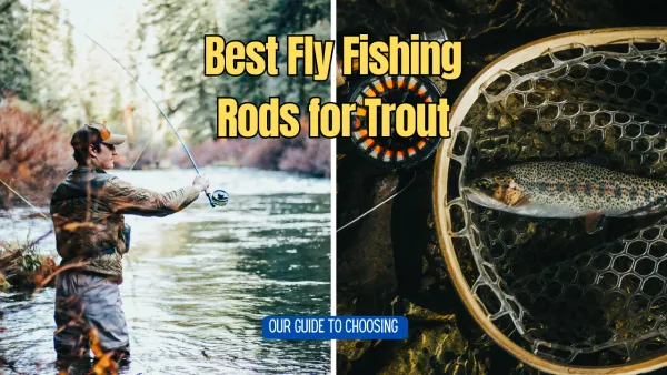 Choosing the Best Fly Fishing Rods for Trout