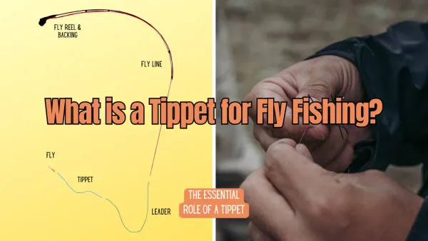 What is a Tippet for Fly Fishing?