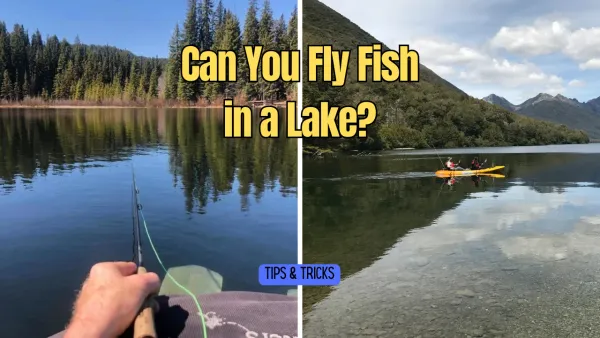 Can You Fly Fish in a Lake?