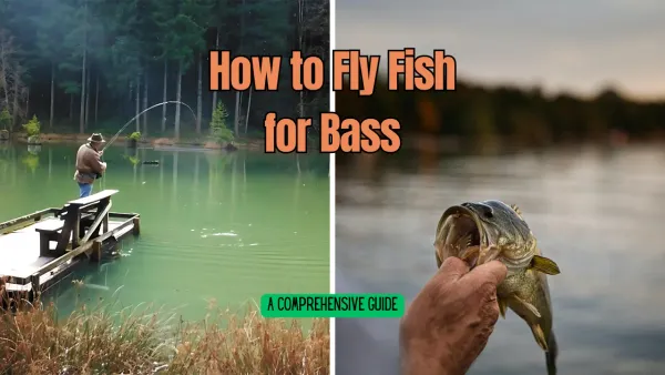 How to Fly Fish for Bass: A Comprehensive Guide