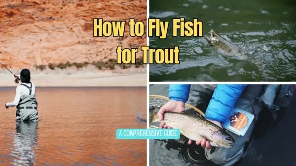 How to Fly Fish for Trout: A Comprehensive Guide
